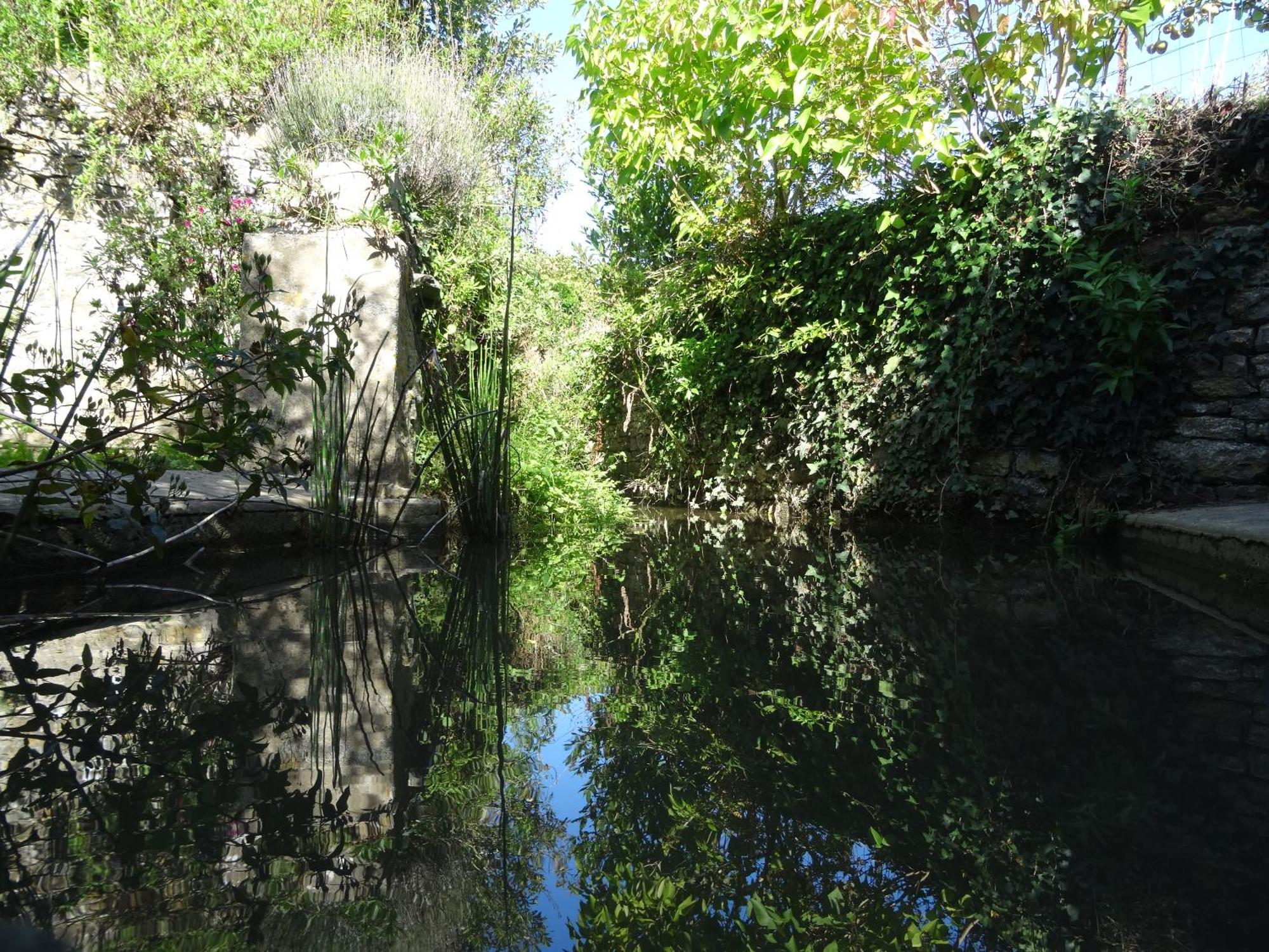 Gite "Rose Des Sables" - 800M De La Plage De Surtainville, Proche Commerces - Piscine En Juillet Et Aout Εξωτερικό φωτογραφία
